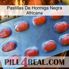 African Black Ant Pills 06